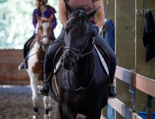 Personalized Instruction for the Competitive Equestrian