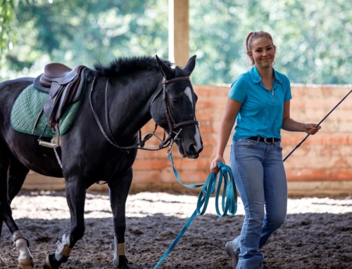 Develop Your Horsemanship