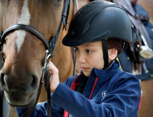 Rewarding Lessons for the Horse-Loving Student
